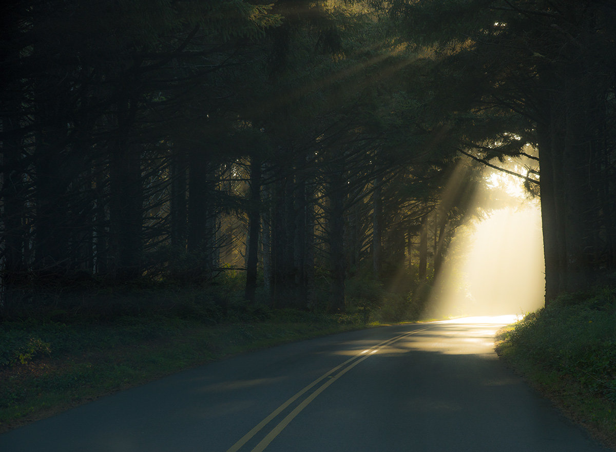 OregonCoast-4719.jpg
