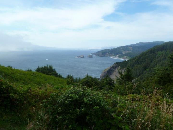 Organ coast 4.jpg