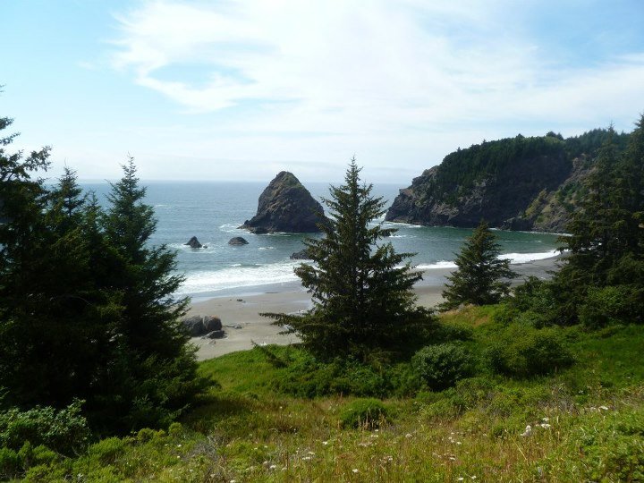 Organ coast 5.jpg