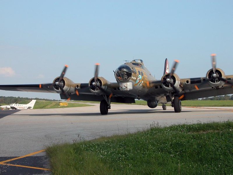 orig_11729_887a8.jpg