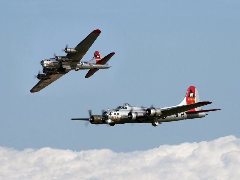 orig_3219_8f229.jpg