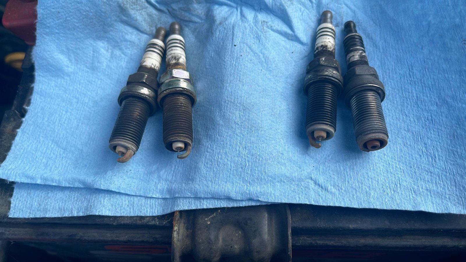 Original Plugs.jpg