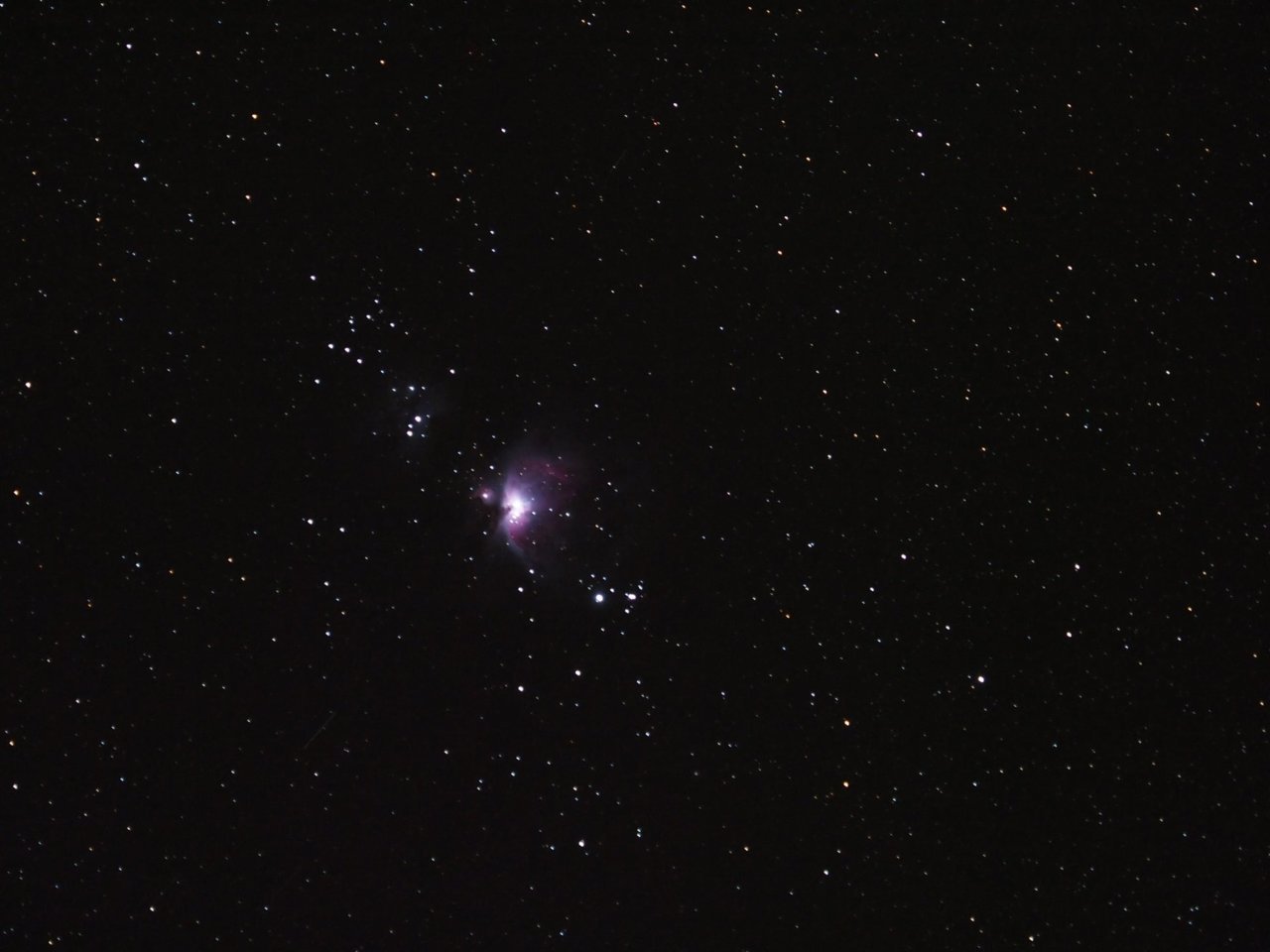 orion neb.jpg