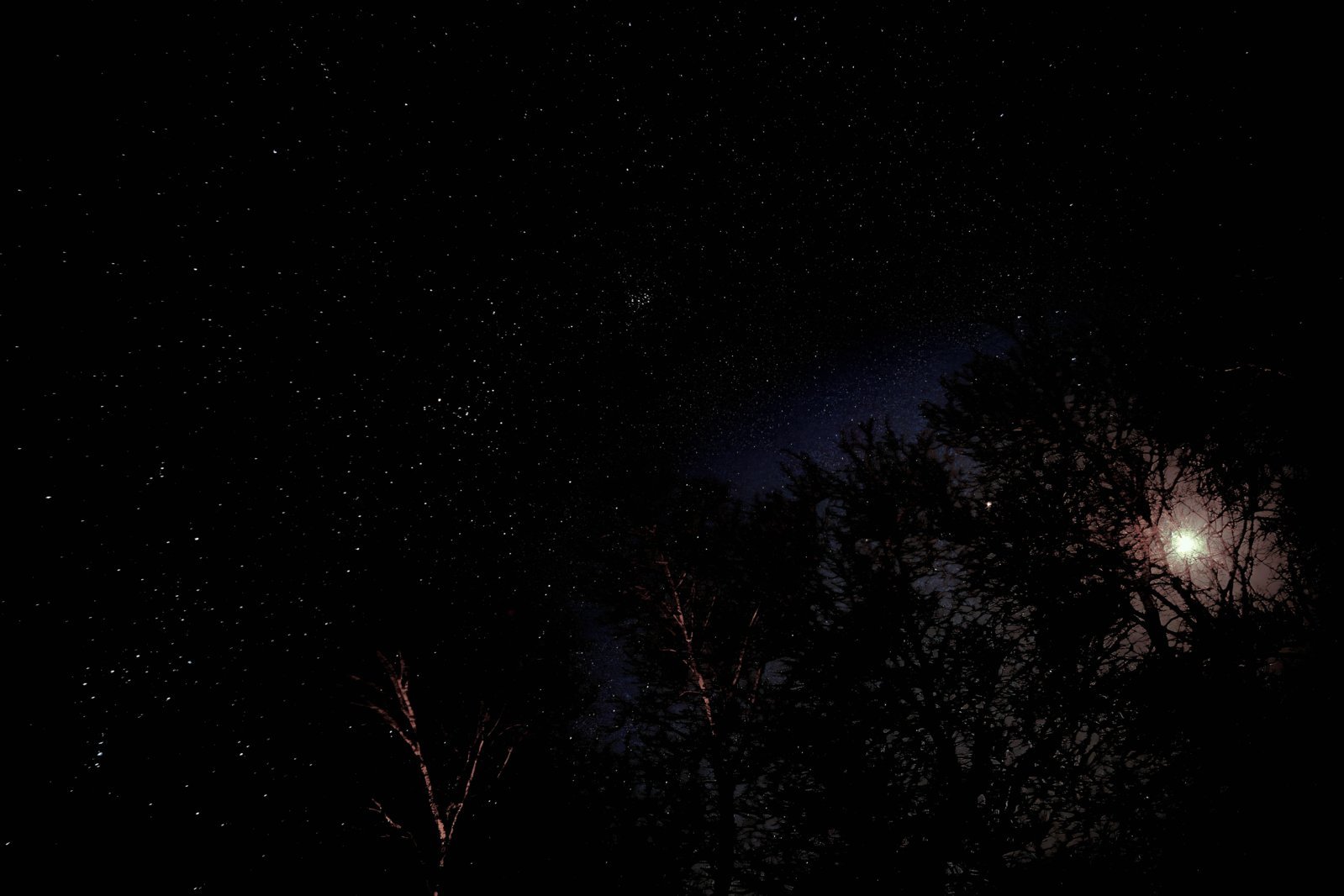 Orion Pleiades and Moon 1-17-2024-DeNoiseAI-low-light.jpg