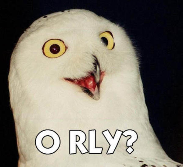 orly_owl_a0acb3d580bdb0e86361b0f64c0b09fba236efe6.jpg