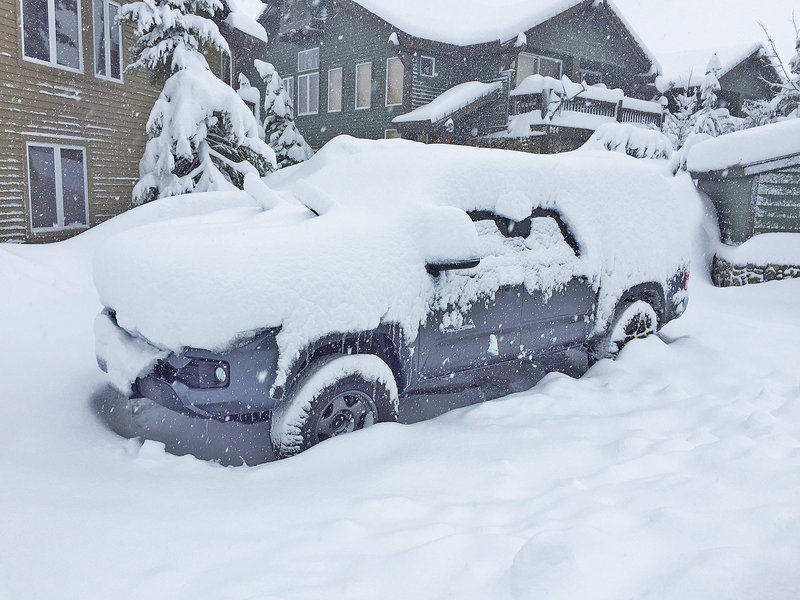 Otis_Snow.jpg