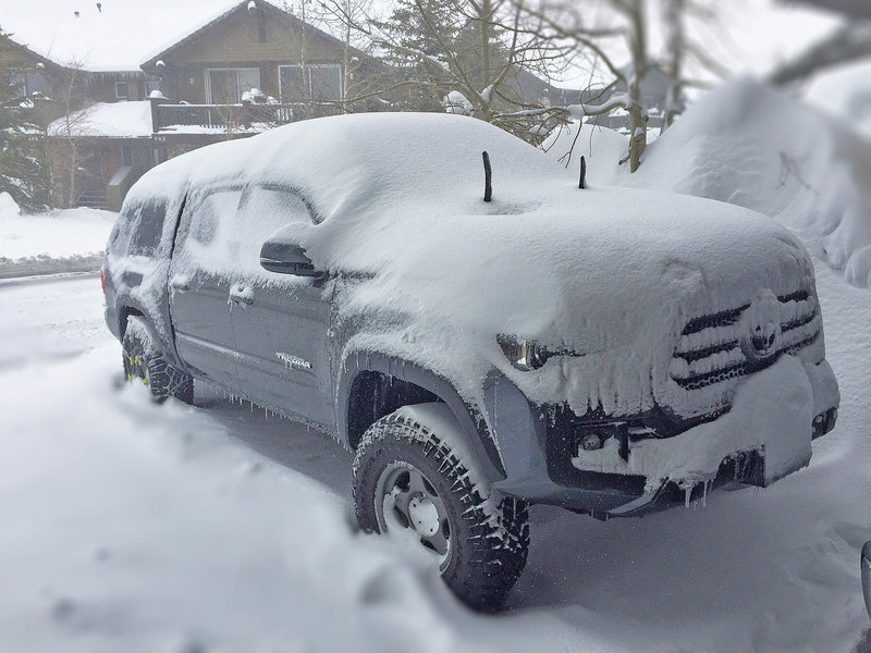 otis_snow_3.jpg