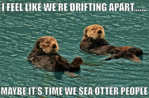 otter_zpsfcd2fbc1-1_zps14eb6fd1_fc821090c91f878cd1f7e531ed87b7a1bf02d037.jpg