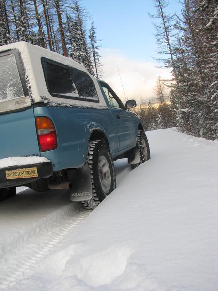 Out lookin for Christmas Tree 017.jpg