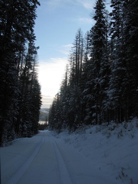 Out lookin for Christmas Tree 021.jpg