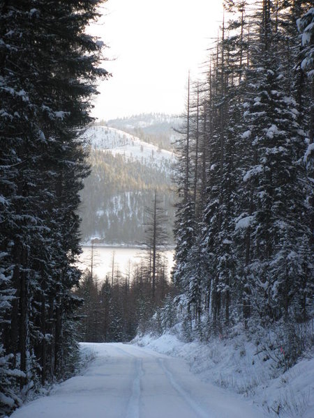 Out lookin for Christmas Tree 022.jpg