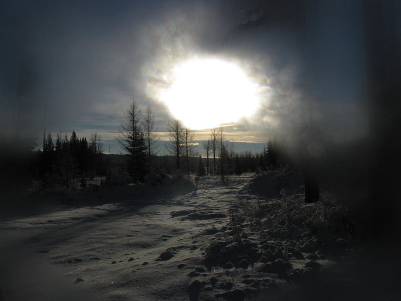 Out lookin for Christmas Tree 024.jpg