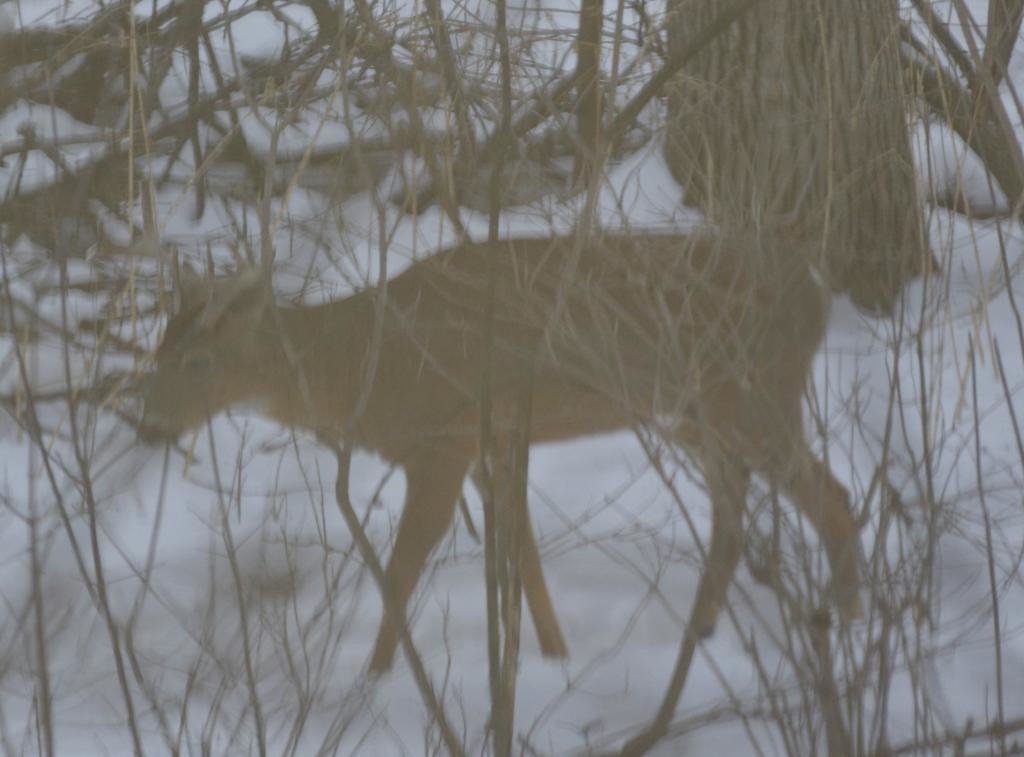 outoffocus8point_zps91c3cafd_d0692d9cb6191547ea2d7a064147591a491b05b4.jpg