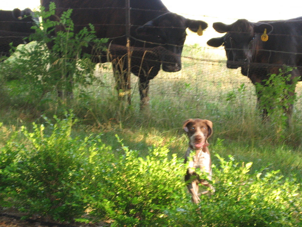 Outta%20Here_zpsuybtb2f0_b89176a4337aeebe758baa9d934e7615fc285074.jpg