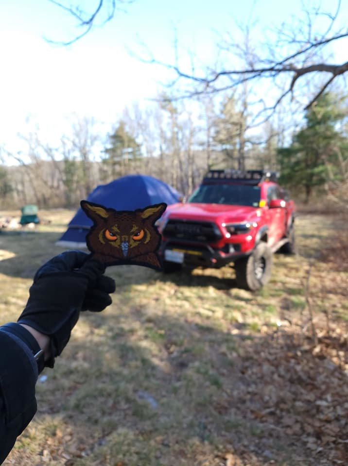 owl.jpg