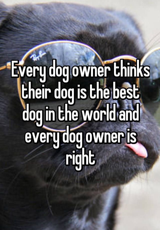 owners.jpg