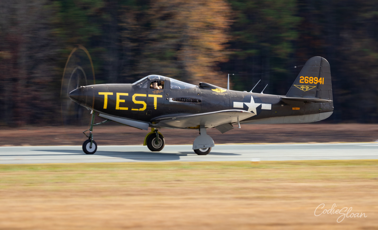 P-63 Kingcobra 1.jpg