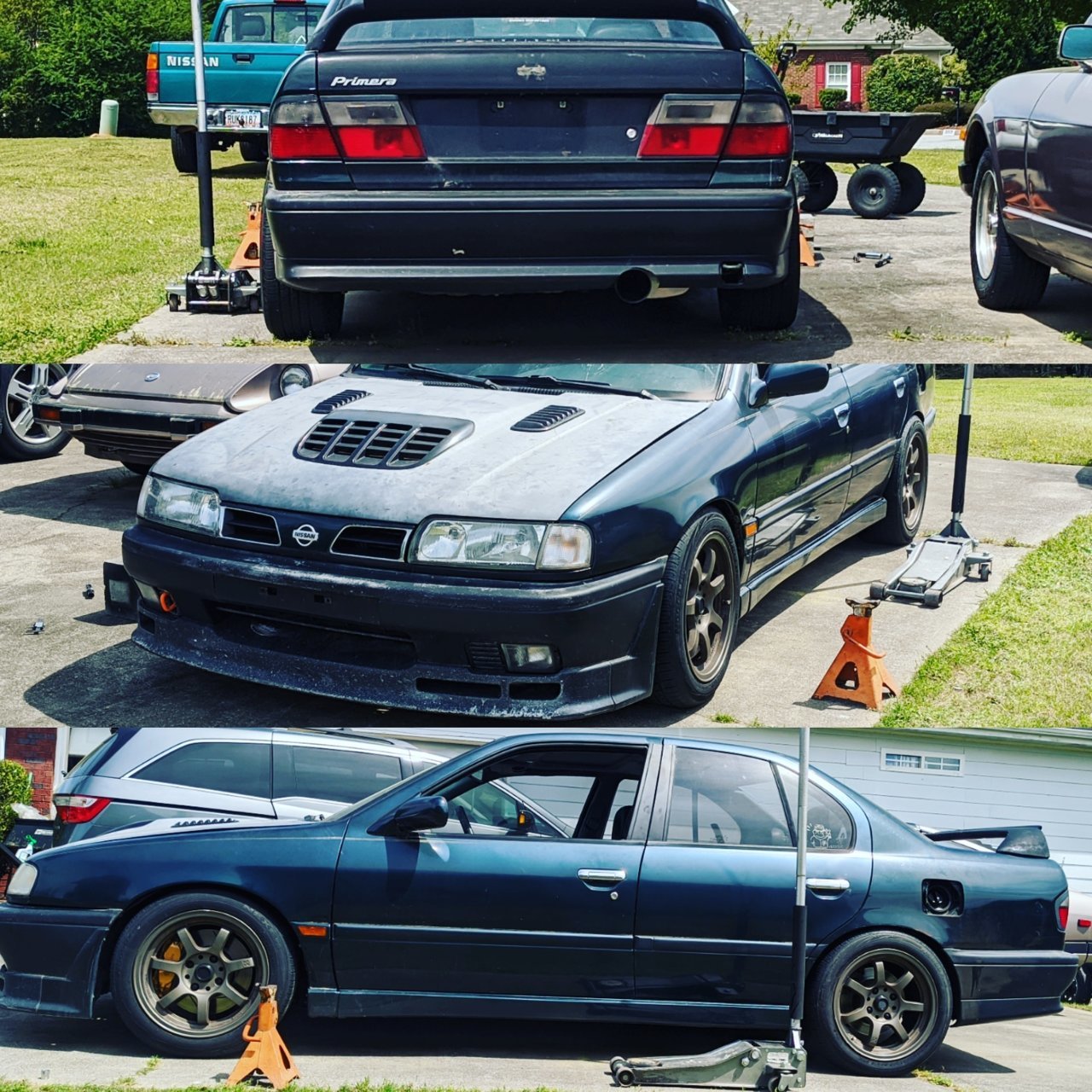 P10 collage.jpg