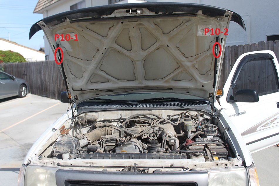 p10.jpg