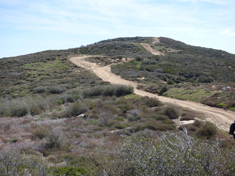 P1000038.jpg