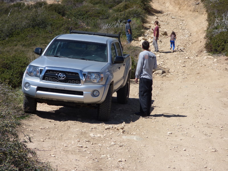 P1000045.jpg