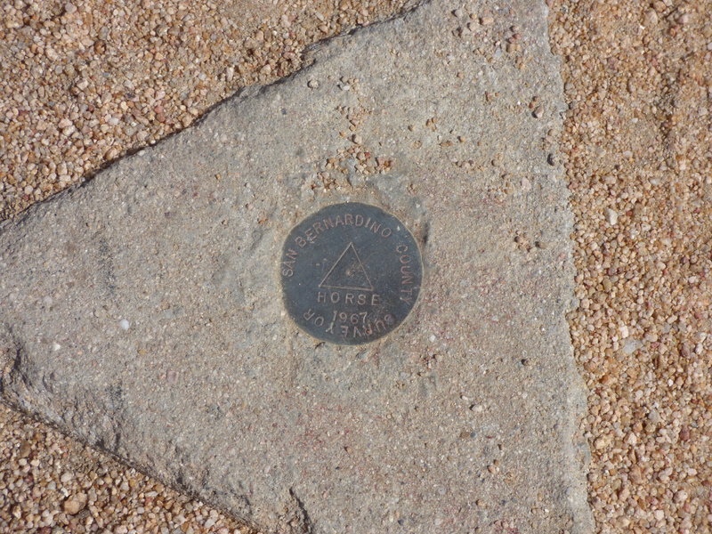 P1000059.jpg