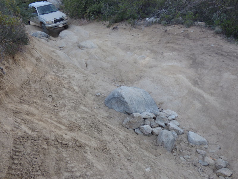 P1000070.jpg