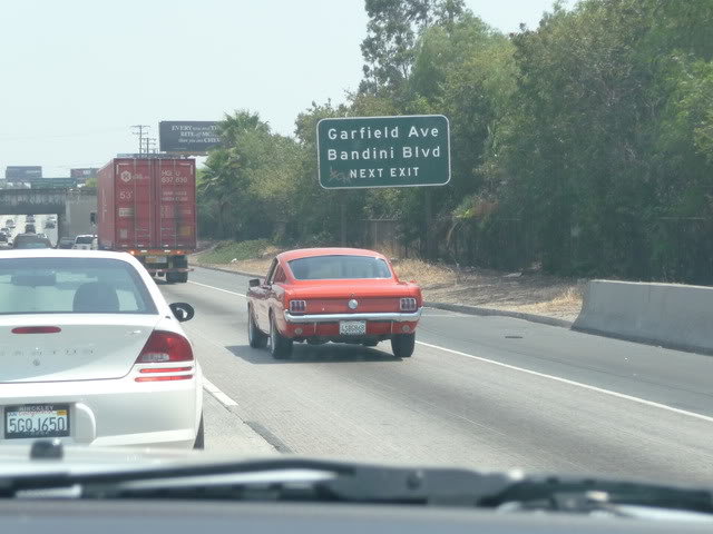 P1000115_233ba8ad5d2321554625c9dd3d9acac582632b5c.jpg