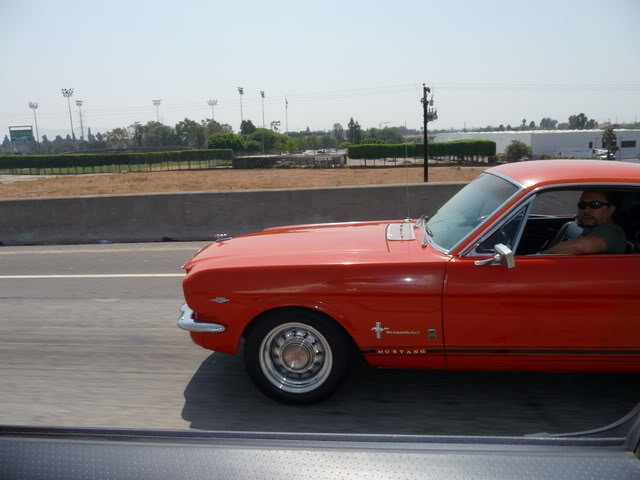 P1000116_ac3f66e4f1fa98c6567516c864b8bfe519c1bf7f.jpg