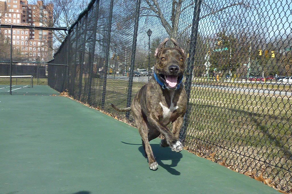 P1000118_84db2e1561d078e734b349a4f7c0ec37cf9ef097.jpg