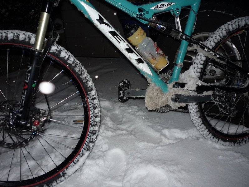P1000228[1].jpg