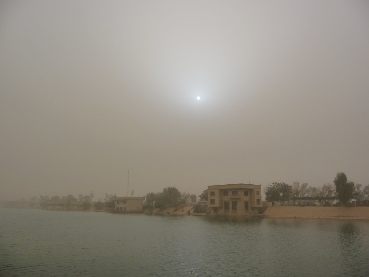 P1000280.jpg