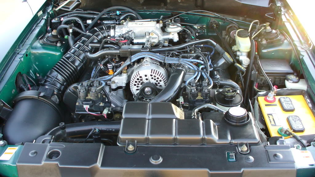 P1000371_a99d8c059d3b07b22af849785b96b677275cc31b.jpg