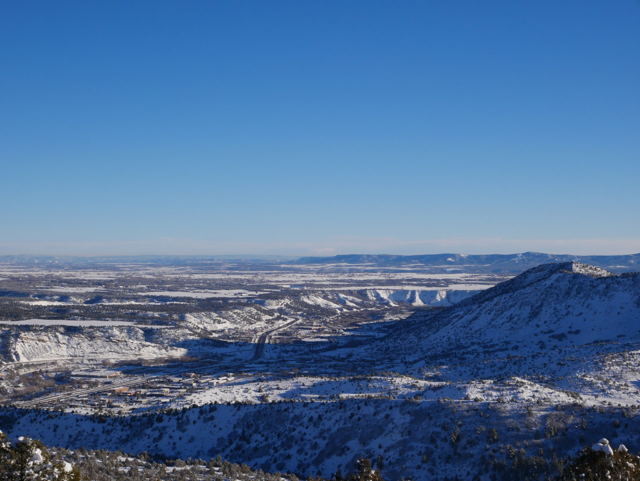 P1000456.jpg