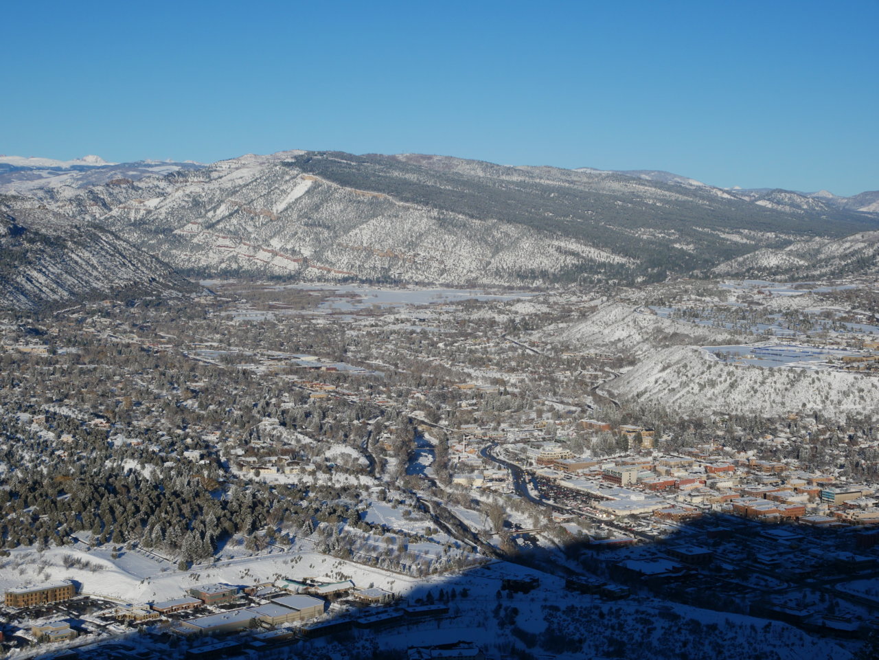 P1000474.jpg