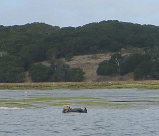 P1000552.jpg