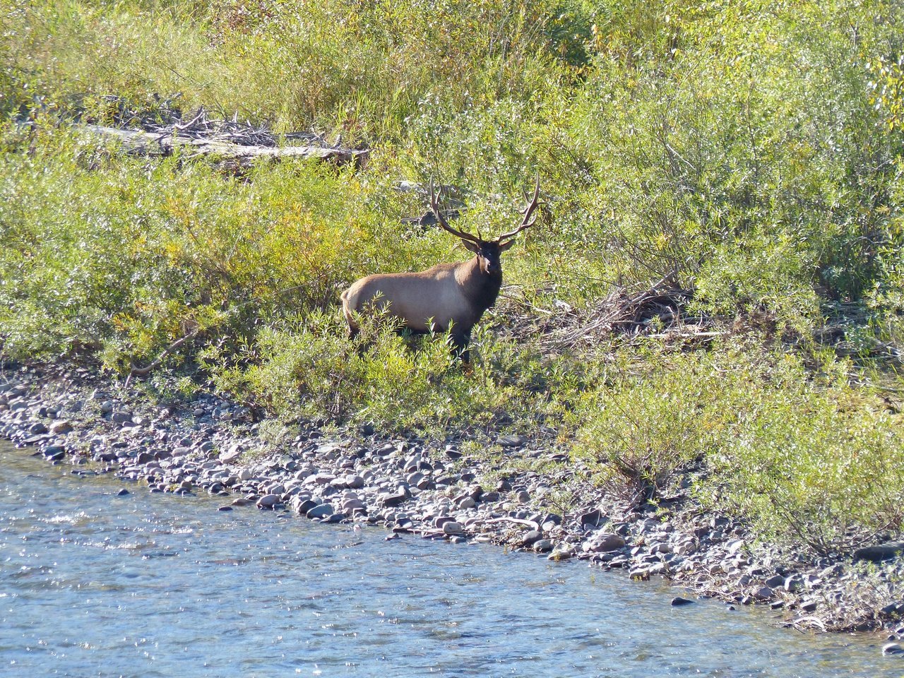 P1000660.jpg