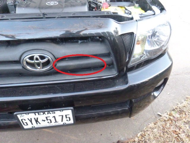 P1000727.jpg