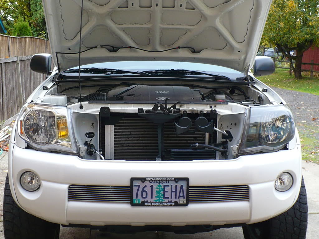 P1000762_5c31e2d23ea157bae2d061cc97547979f7c5eca7.jpg