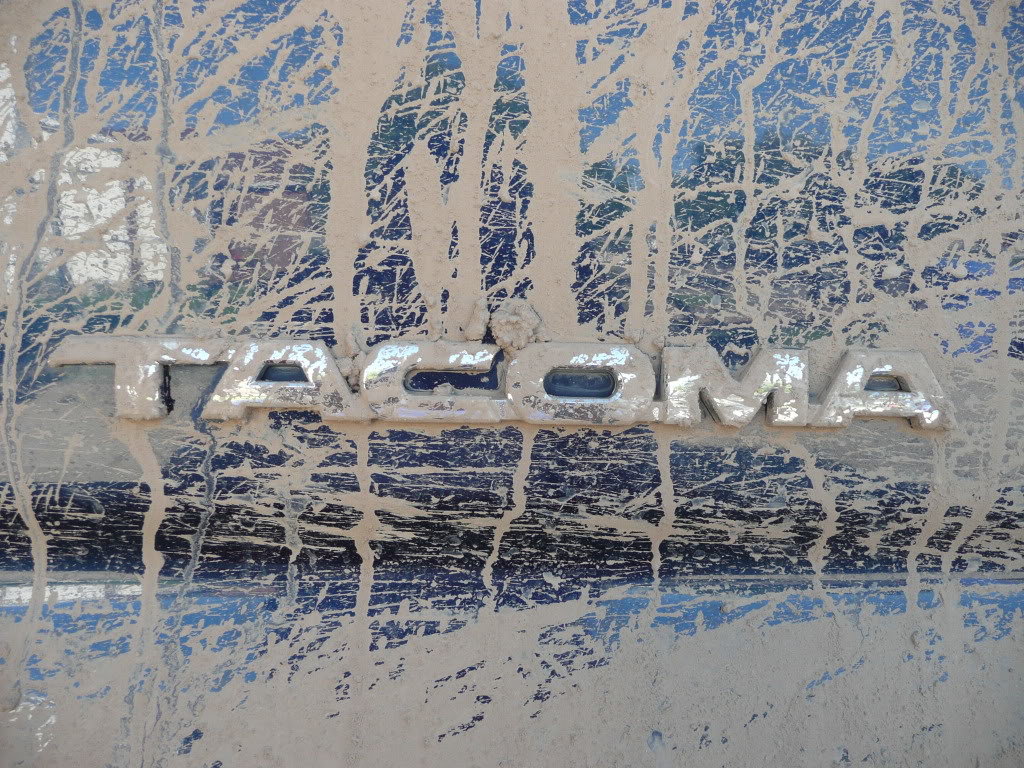 P1000976_91c58b15d96af39d39e047139a6ace6e0668edcb.jpg