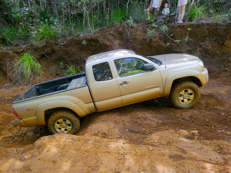 p1000984large.jpg