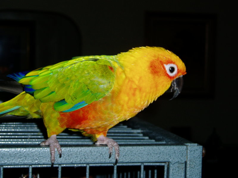 P1010002 (1).jpg