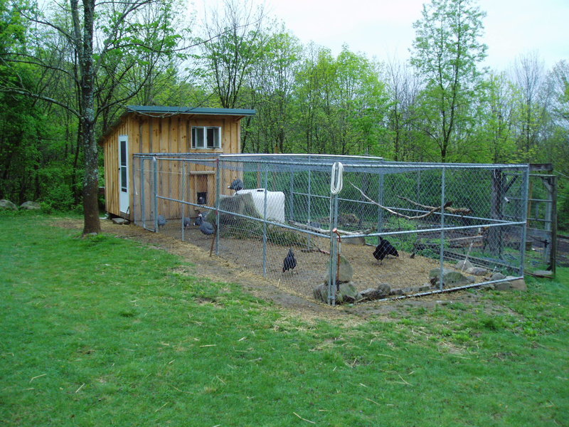 P1010002.jpg