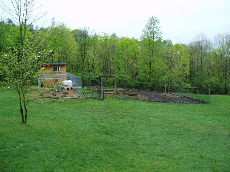 P1010003.jpg