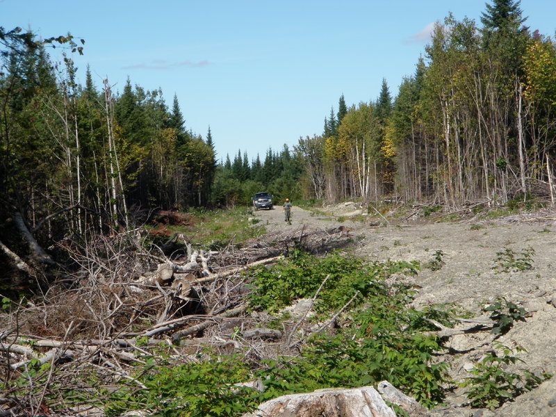 P1010006.jpg