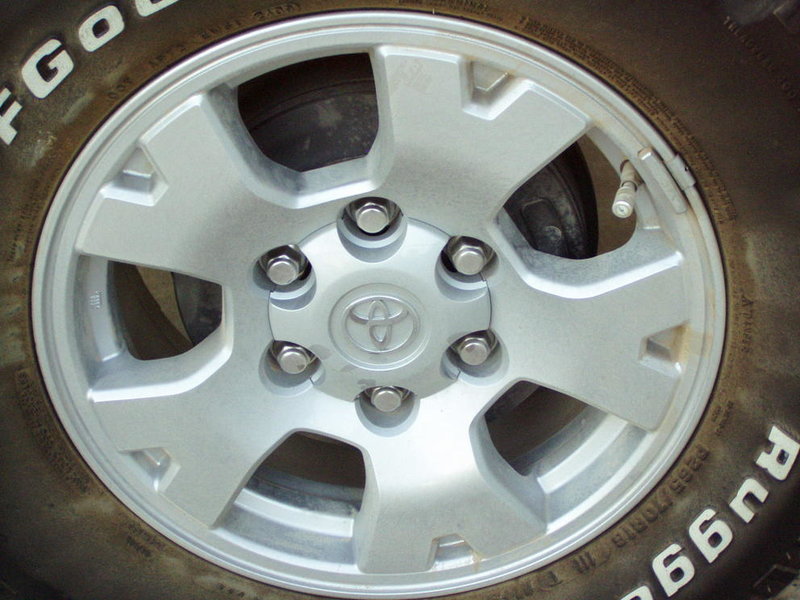 P1010007.jpg