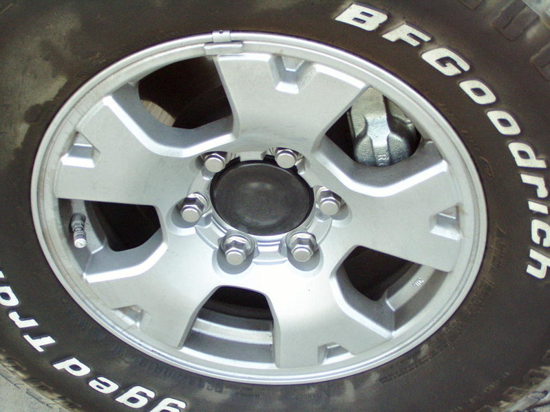 P1010008.jpg