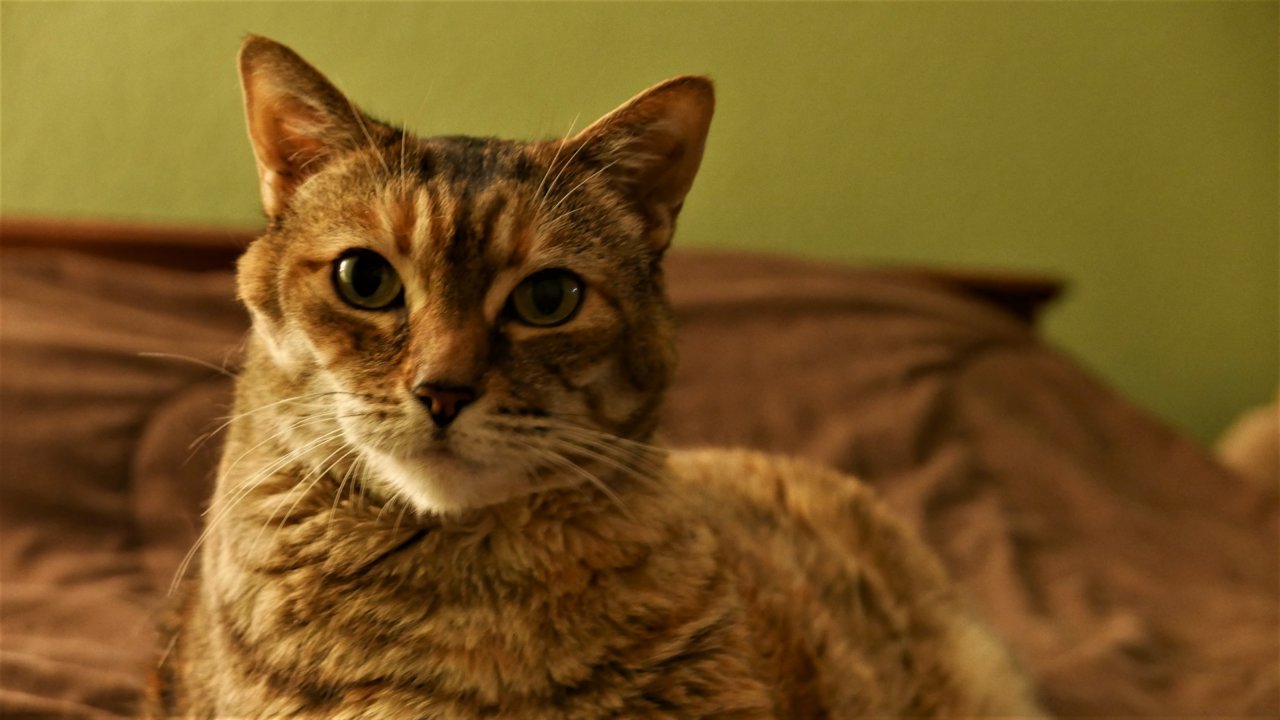 P1010013.jpg