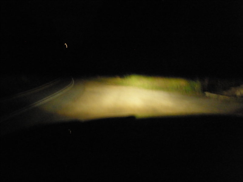 P1010016.jpg