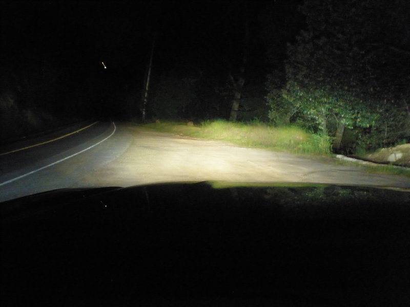 P1010017.jpg